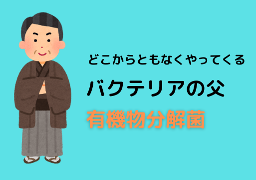 知識ゼロでもザックリわかる 水槽のバクテリアを増やす方法 ざっくリウム