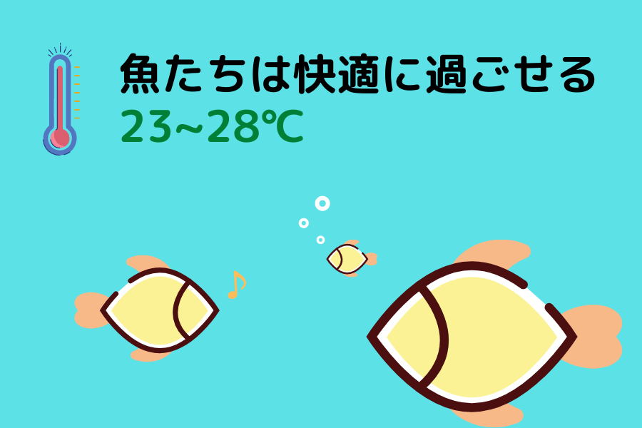 注意点は2個だけ 水槽用ヒーターとサーモスタットの選び方 ざっくリウム