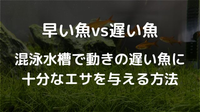 ボトルアクアに テトラco2ﾌﾟﾗｽを使って 本当に効果があるのか撮影実験してみた 効果アリ ざっくリウム