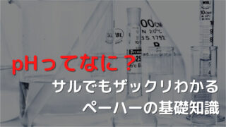 水草水槽用 3つの手順で超簡単 カリウム液肥の自作方法 すぐできる ざっくリウム