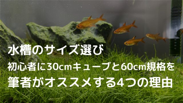 水槽のサイズ選び 初心者に30cmキューブと60cm規格をオススメする4つの理由 水量確保が大切 ざっくリウム