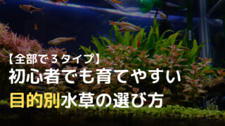 方法は４種類 水槽へco2を添加して水草を元気に育てる方法 ざっくリウム