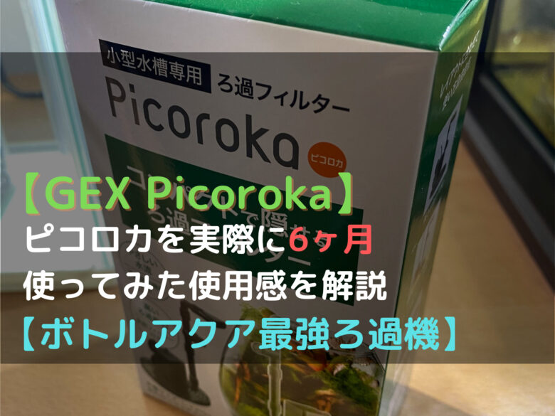 Gex Picoroka ピコロカを実際に6ヶ月使ってみた使用感と個人的に思った事 ボトルアクアの最強ろ過機 ざっくリウム