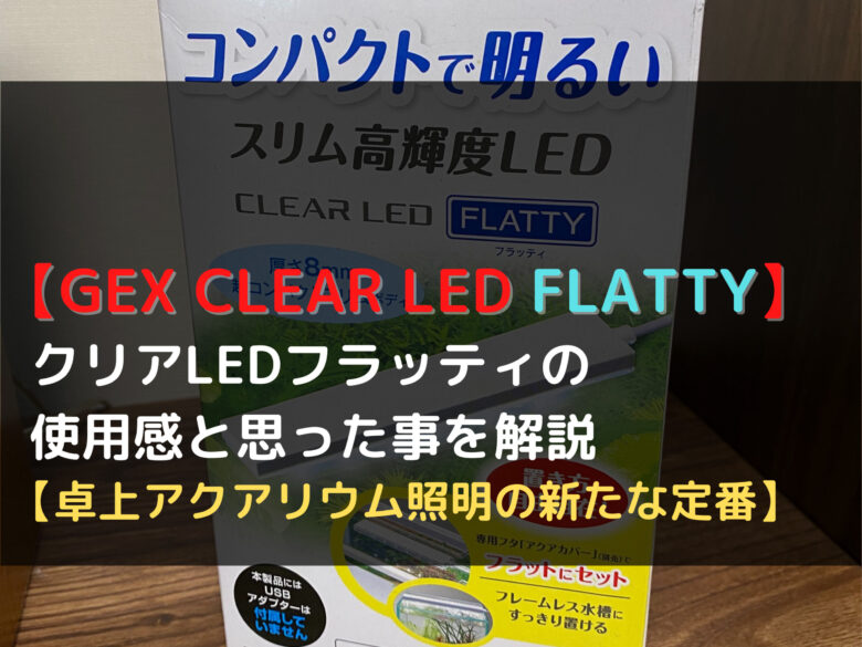 市場 GEX ホワイト スリム高輝度LED フラッティ クリアLED