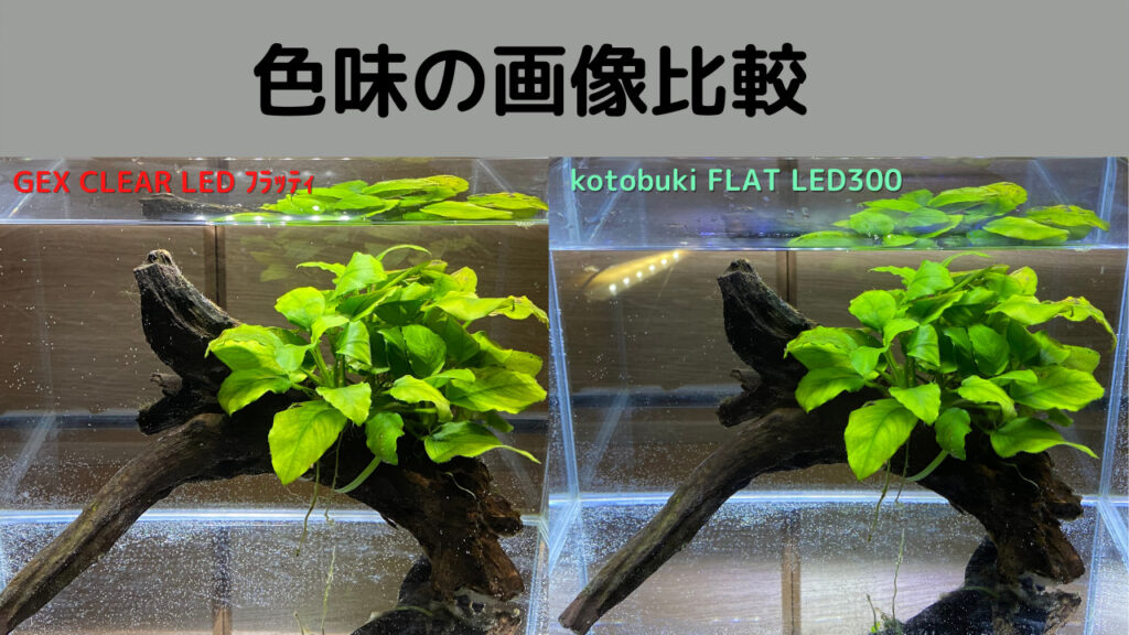 日本未入荷 GEX クリアLED フラッティ ブラック スリム高輝度LED 40cm以下水槽