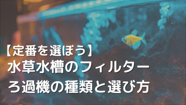 水草水槽のフィルター ろ過機の種類と選び方 ざっくリウム